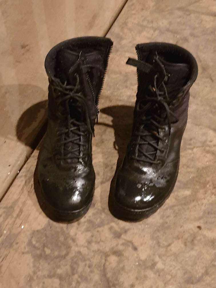 old_boots.jpg