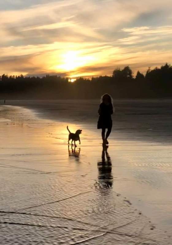 Chester Cox Bay Beach.jpg