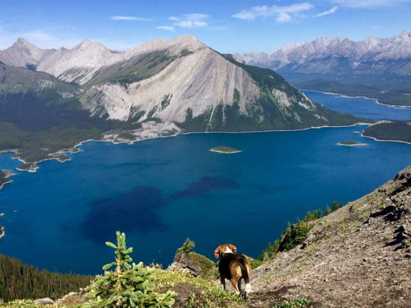 Chester Kananaskis Lake.jpg