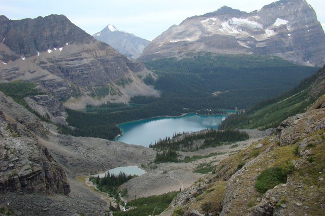 Lake O'Hara.jpg