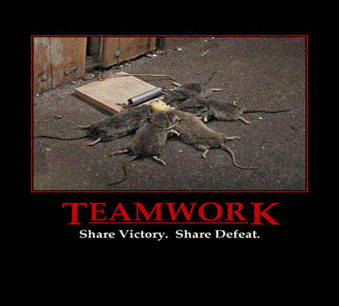 image005.gif