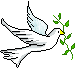 :dove: